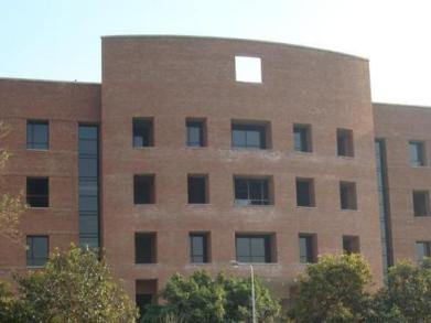 sasa